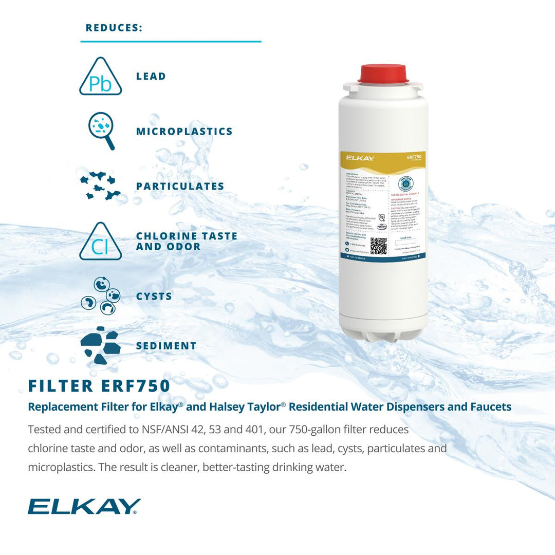 Elkay WaterSentry 12 Month Filter