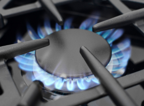 BlueStar Culinary Series Sealed Burner Range All Burners