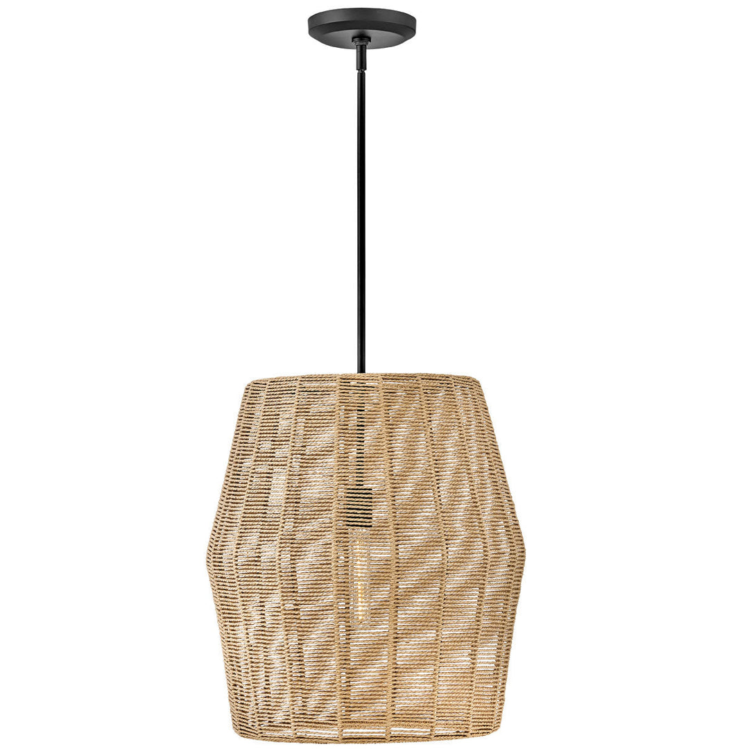 Hinkley Luca Convertible Pendant (view 3)