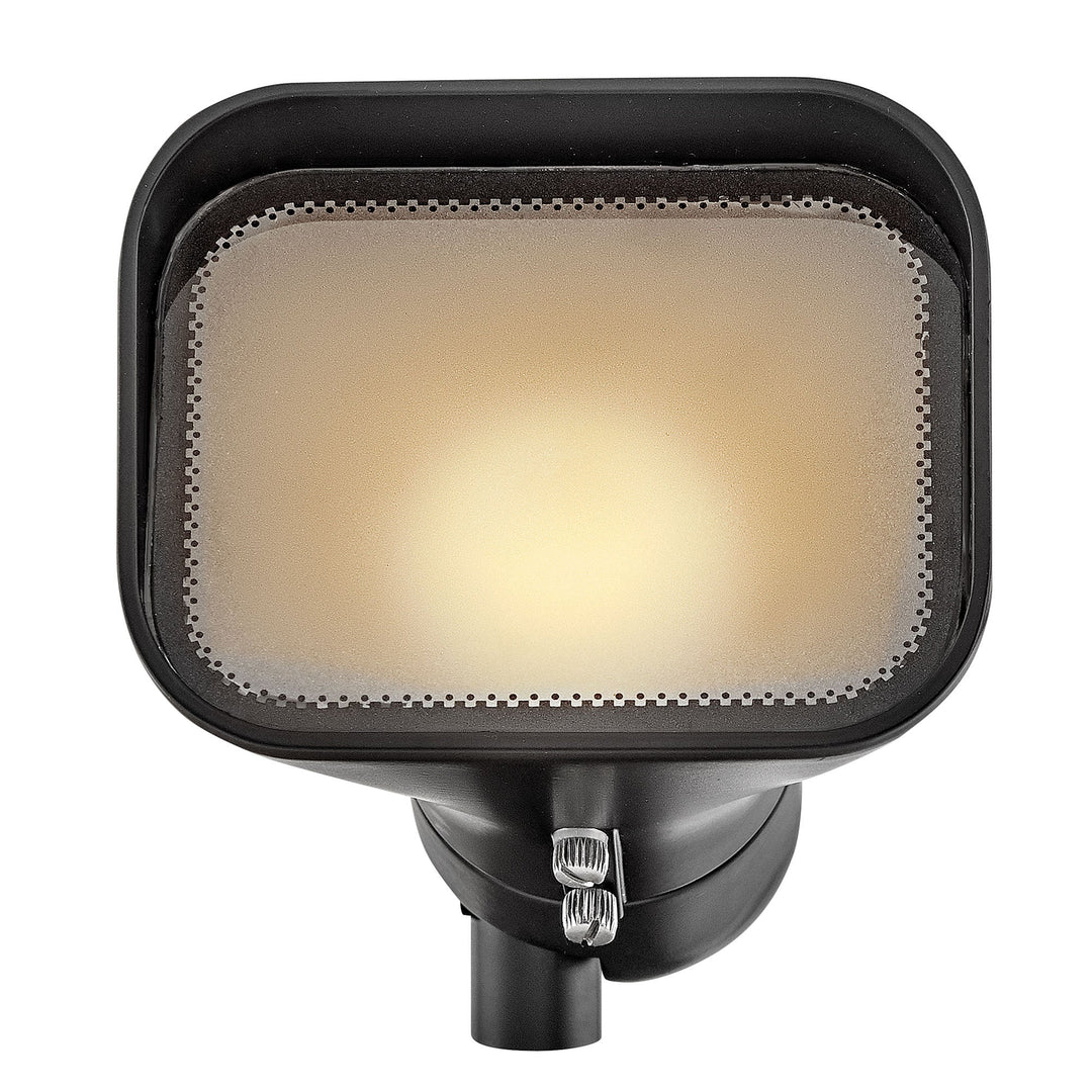 Hinkley Hardy Island 120V Accent Flood Light (view 2)