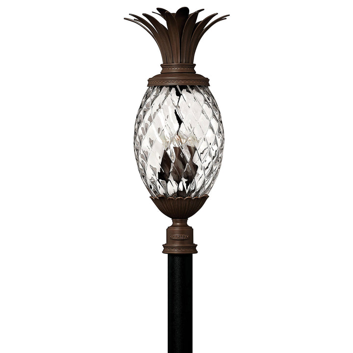 Hinkley Pineapple 120V Outdoor Post / Pier Mount Clear Optic in Copper Bronze (view 2)