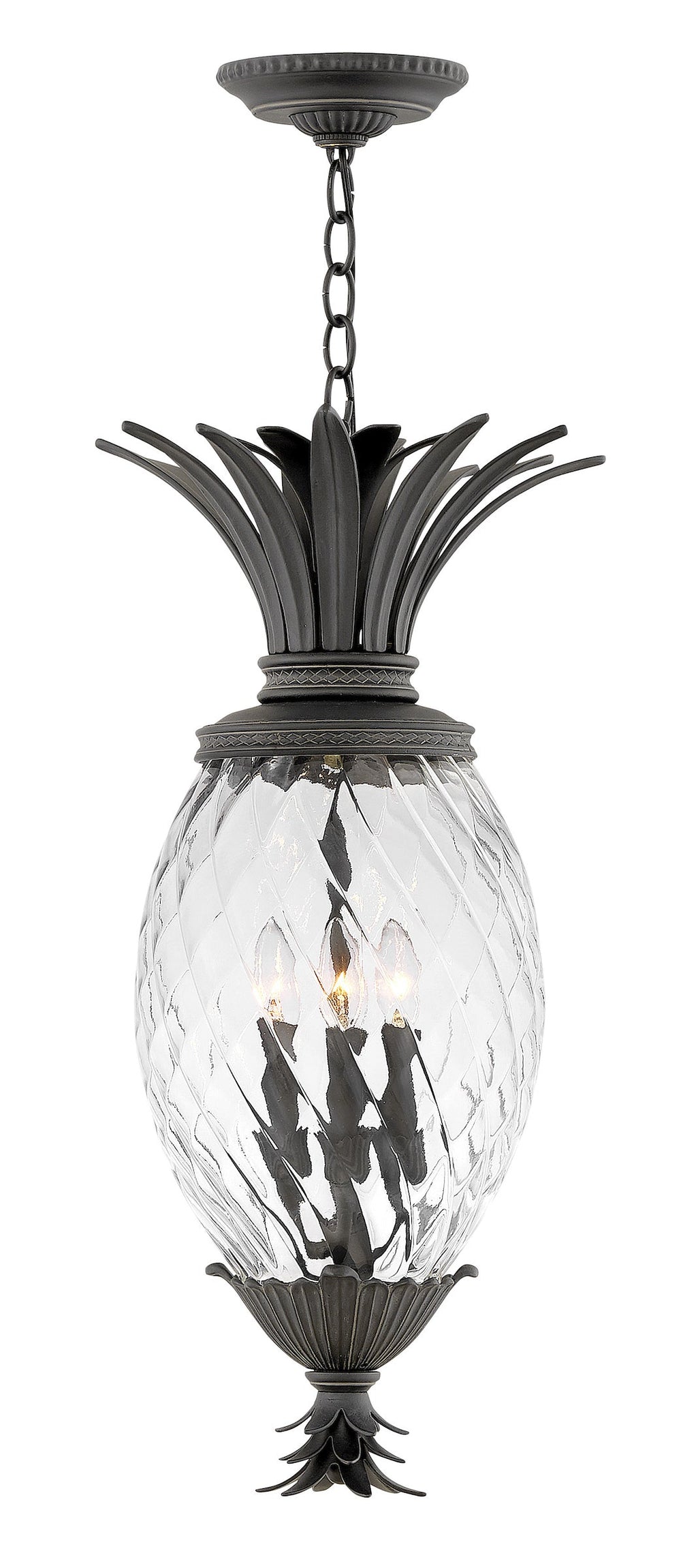 Hinkley Pineapple 120V Outdoor Pendant in Museum Black