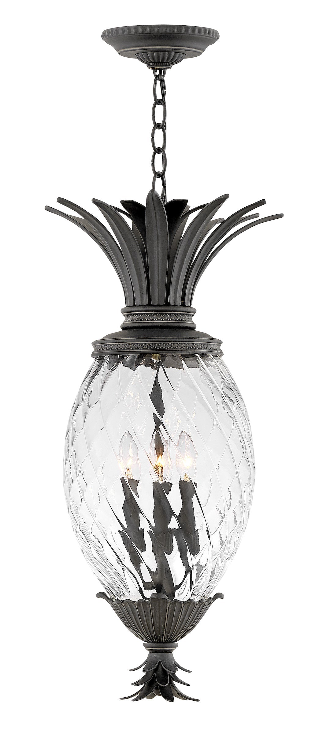 Hinkley Pineapple 120V Outdoor Pendant in Museum Black