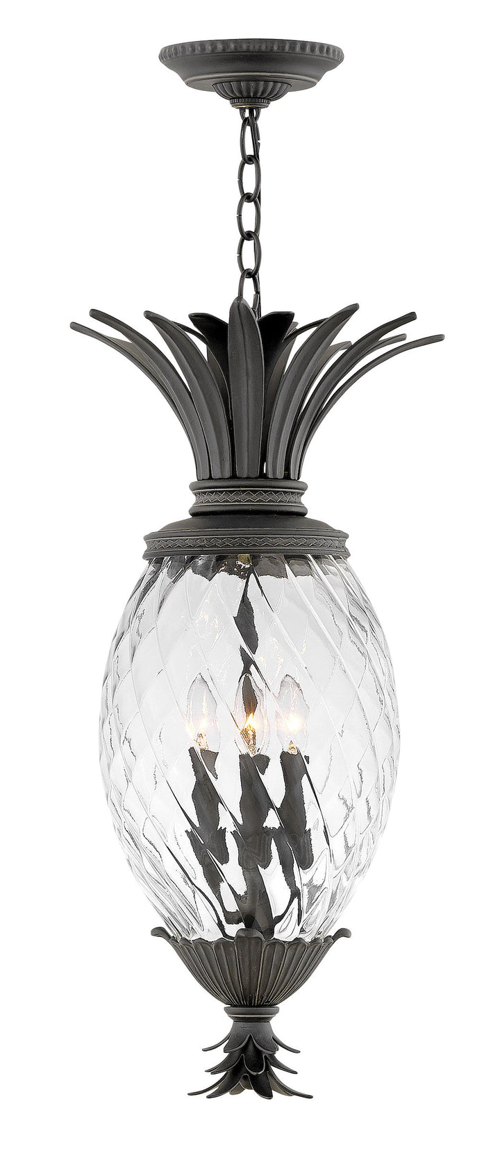 Hinkley Pineapple 120V Outdoor Pendant in Museum Black