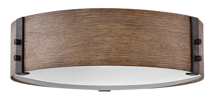 Hinkley Sawyer Outdoor Ceiling Light Fixture in Sequoia (view 2)