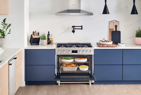 Bosch Gas Freestanding Range