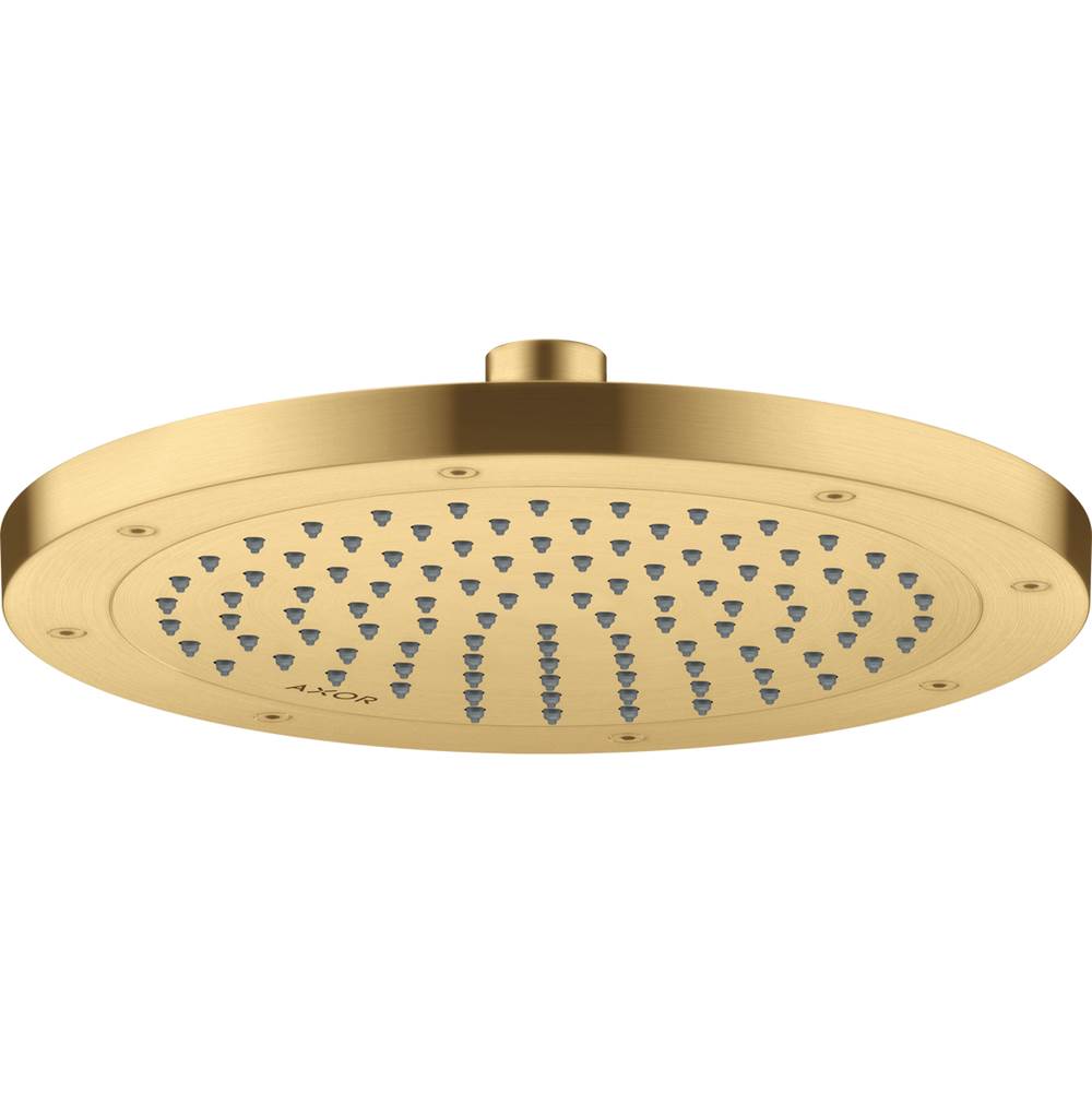 AXOR ShowerSolutions Showerhead 245