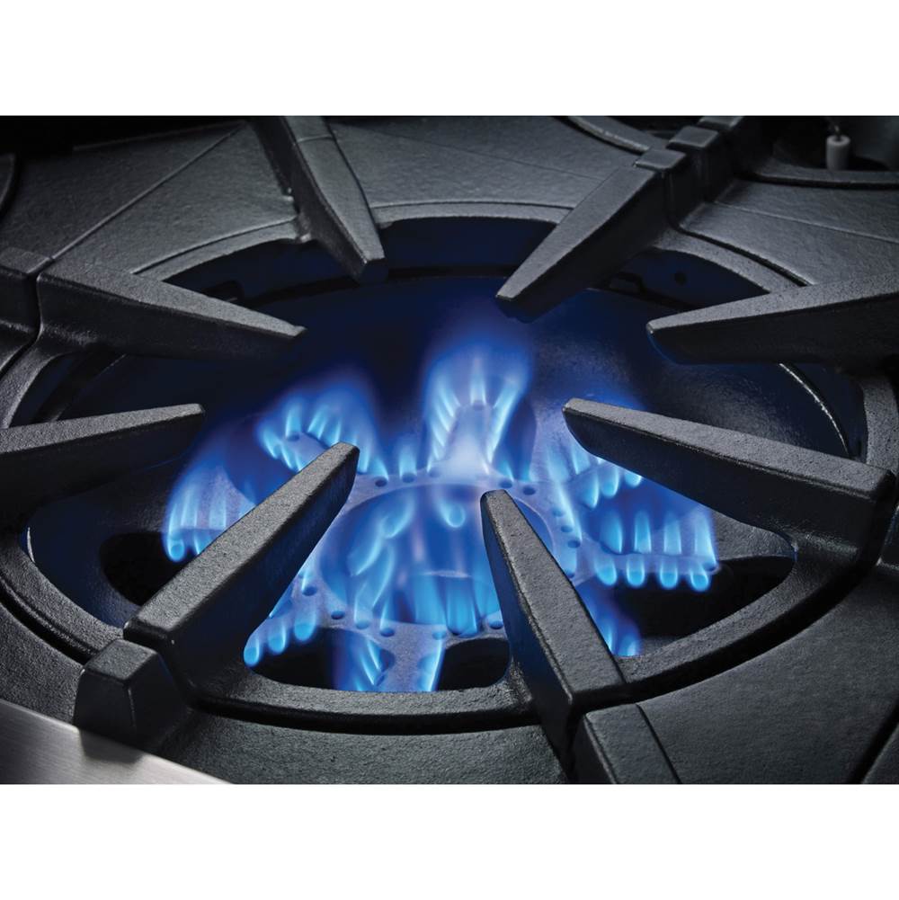 BlueStar Platinum Range Top All Burners