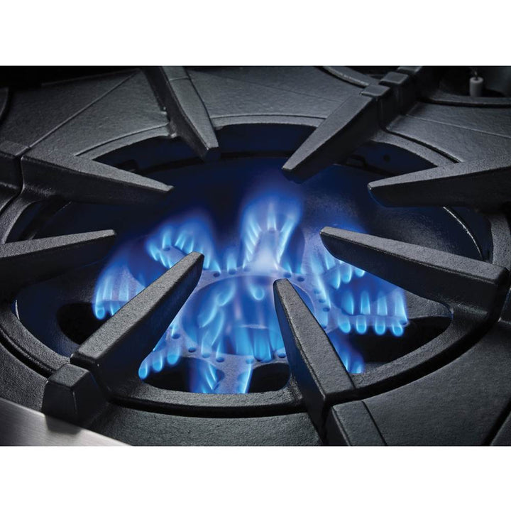 BlueStar Platinum Range Top All Burners