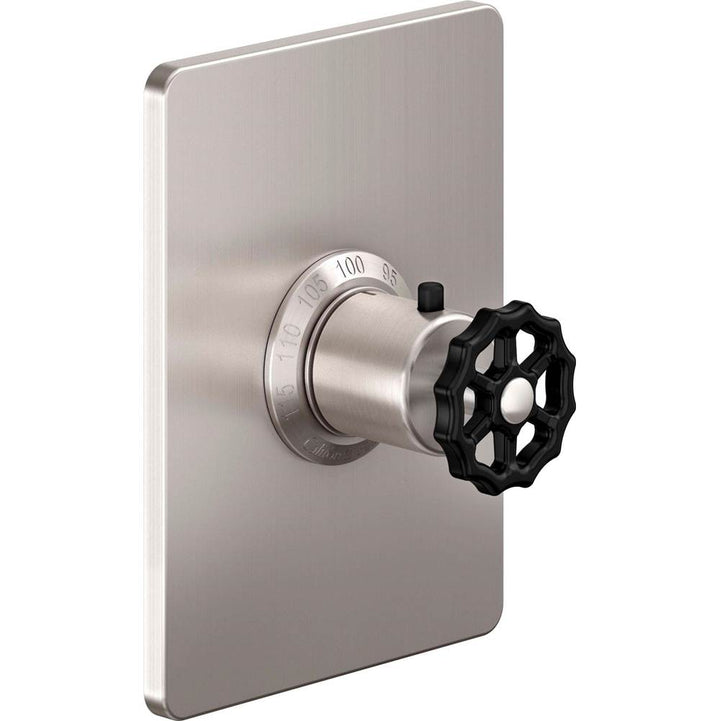 California Faucets StyleTherm 3/4" Thermostatic Trim Only