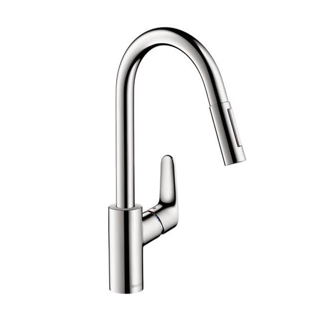 Hansgrohe Focus HighArc Kitchen Faucet 2-Spray Pull-Down 1.75 GPM
