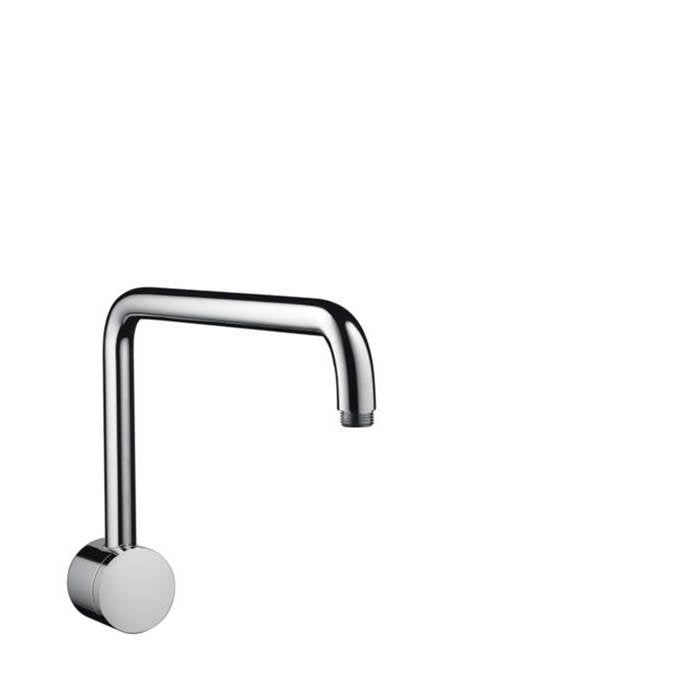 Hansgrohe Raindance Showerarm