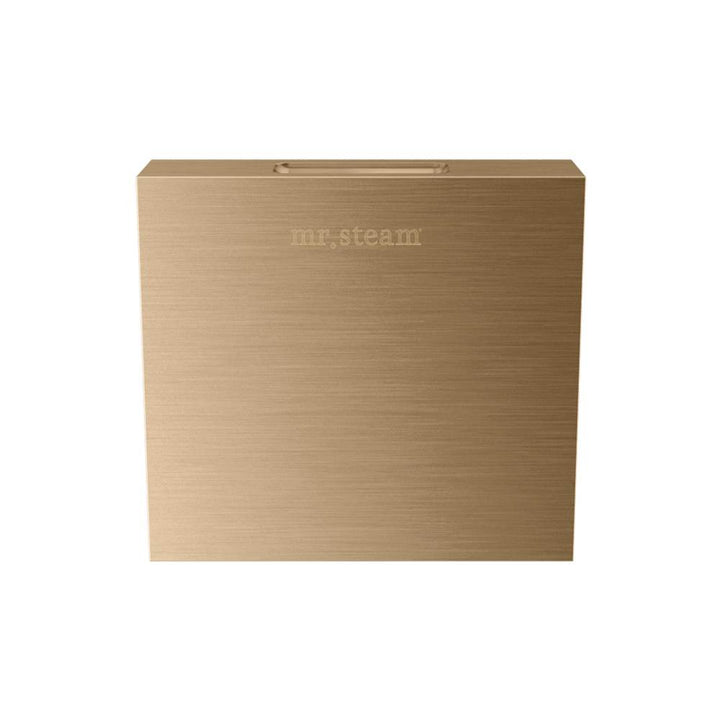 Mr. Steam Designer 3" Steamhead with AromaTherapy Reservoir Square