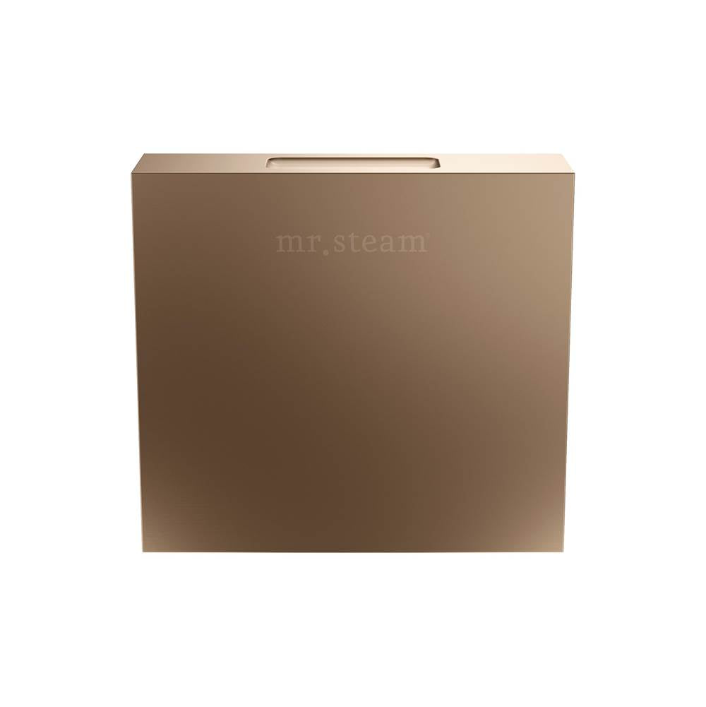 Mr. Steam Designer 3" Steamhead with AromaTherapy Reservoir Square