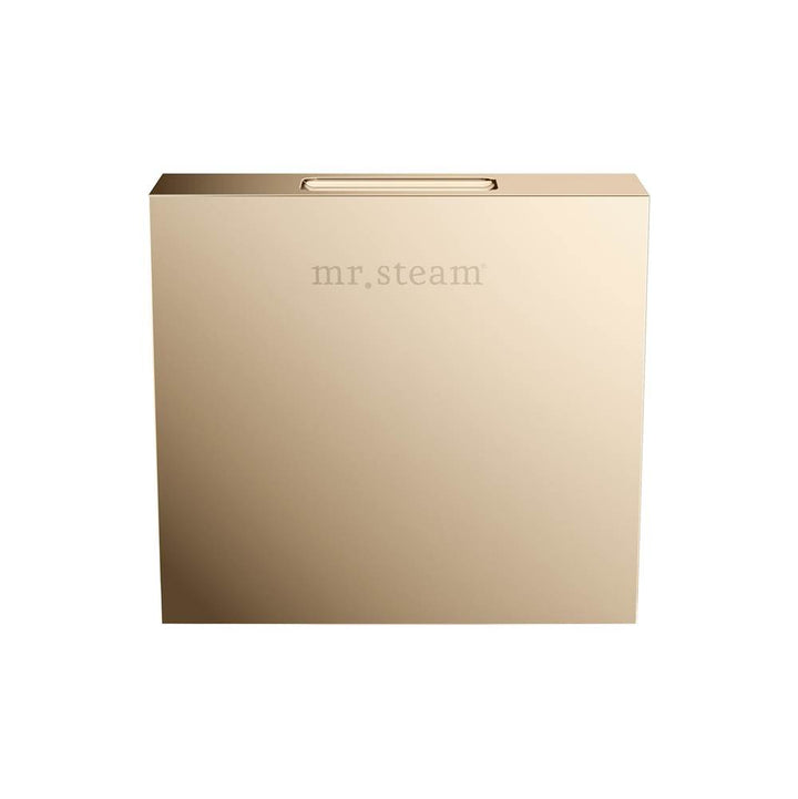 Mr. Steam Designer 3" Steamhead with AromaTherapy Reservoir Square
