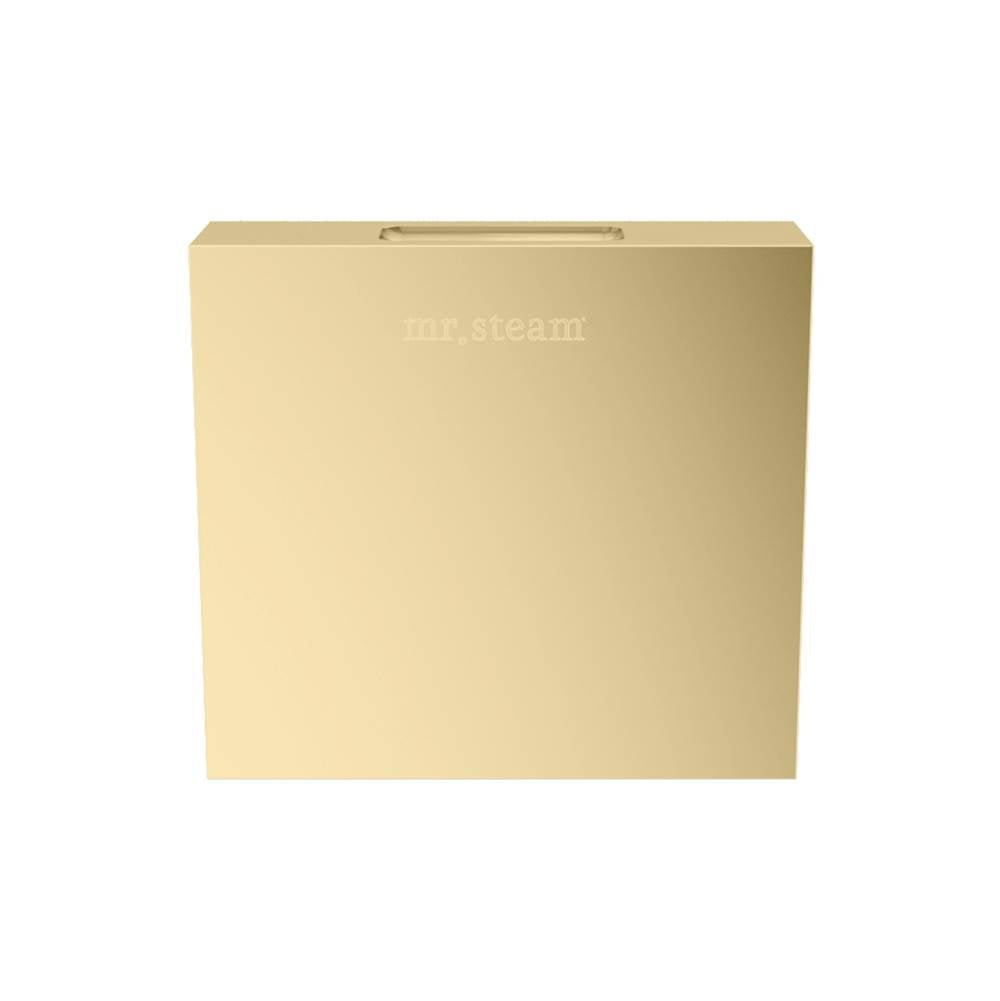 Mr. Steam Designer 3" Steamhead with AromaTherapy Reservoir Square