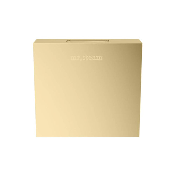 Mr. Steam Designer 3" Steamhead with AromaTherapy Reservoir Square