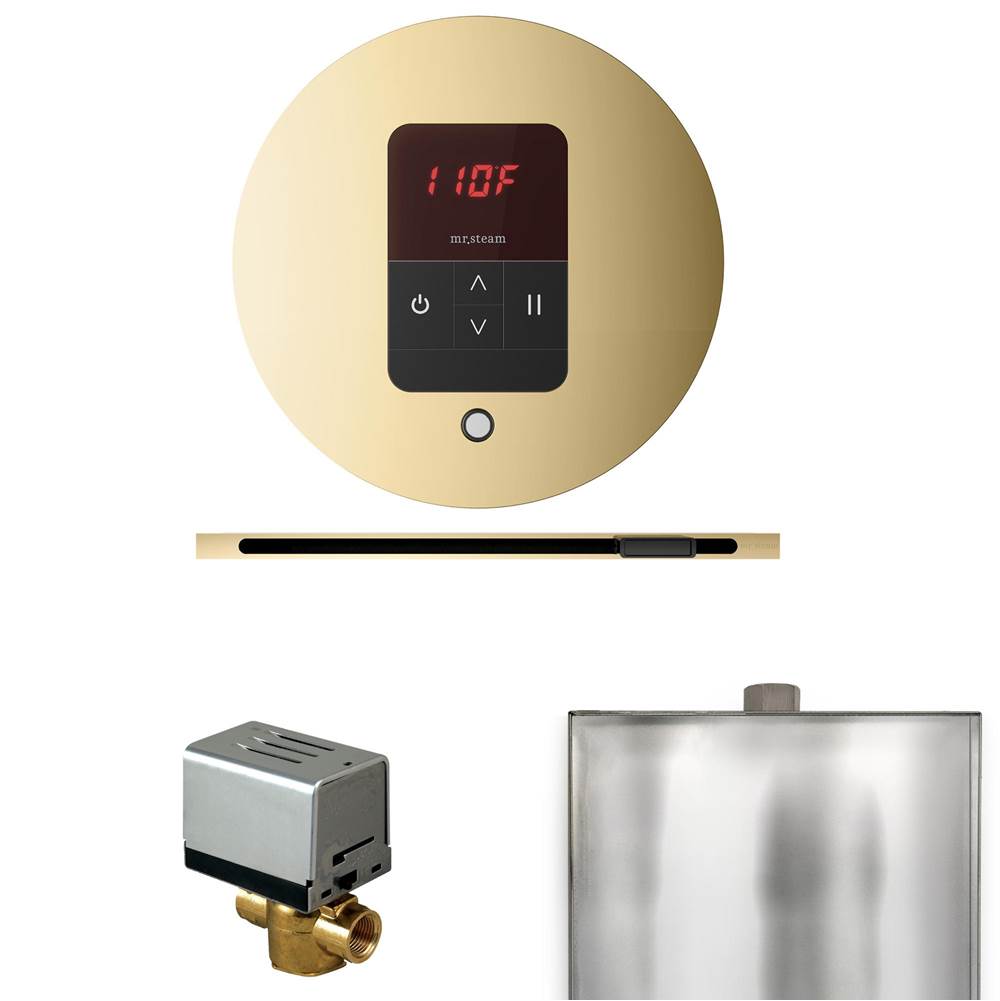 Mr. Steam Basic Butler Steam Shower Control Package with Round iTempo Control and Linear Steamhead