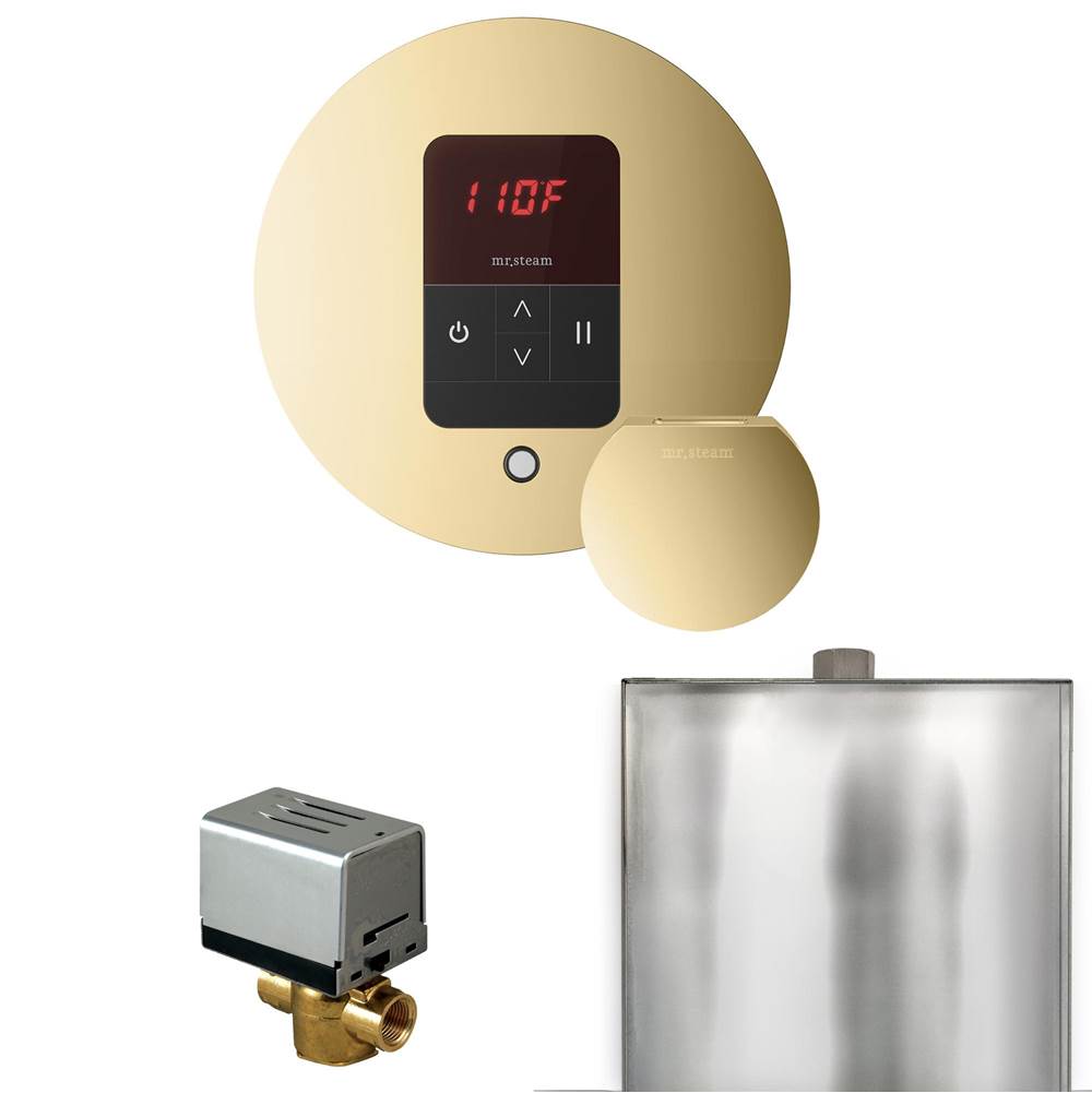Mr. Steam Basic Butler Steam Shower Control Package with Round iTempo Control and Steamhead
