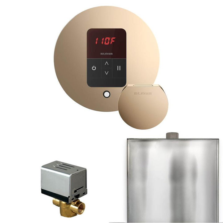 Mr. Steam Basic Butler Steam Shower Control Package with Round iTempo Control and Steamhead