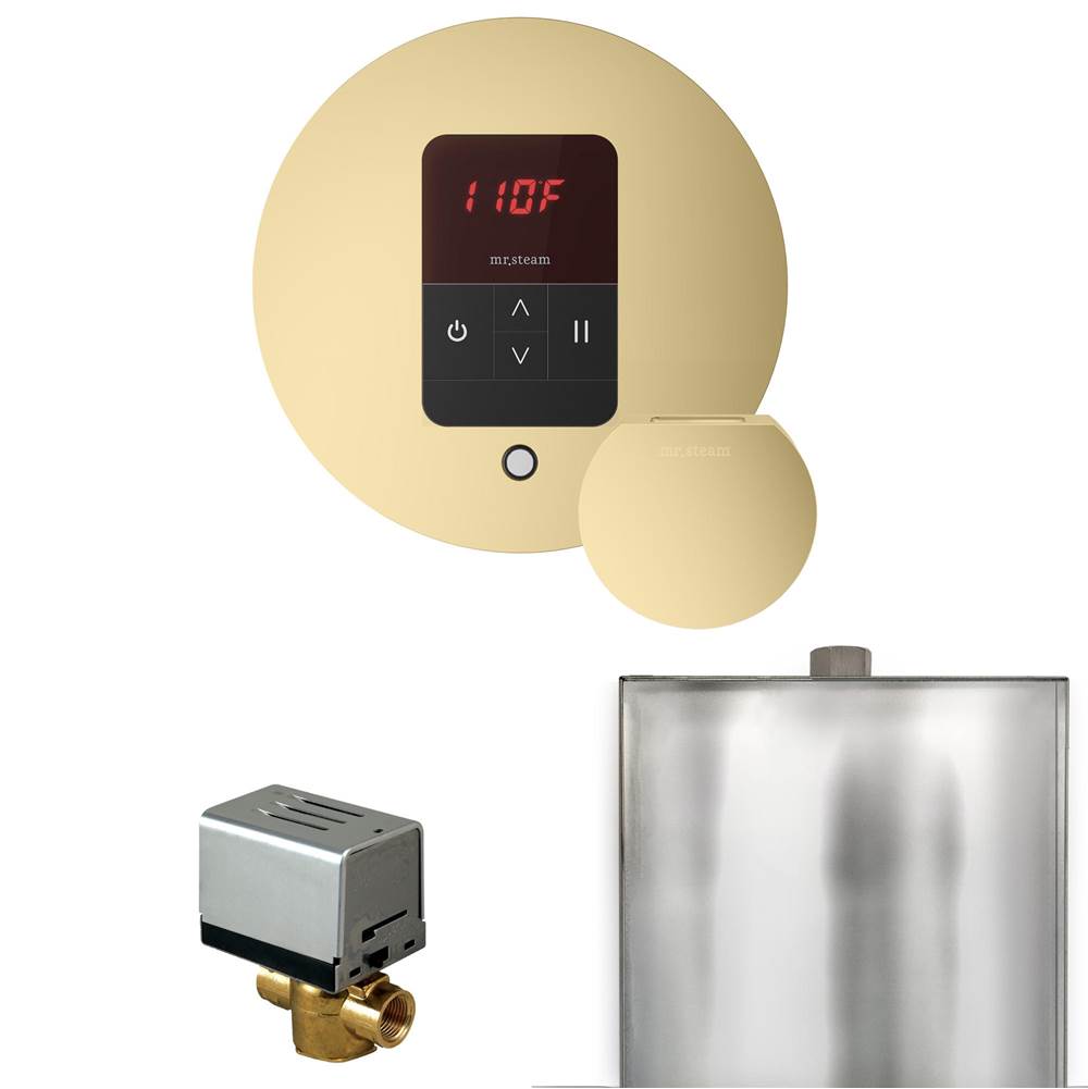 Mr. Steam Basic Butler Steam Shower Control Package with Round iTempo Control and Steamhead