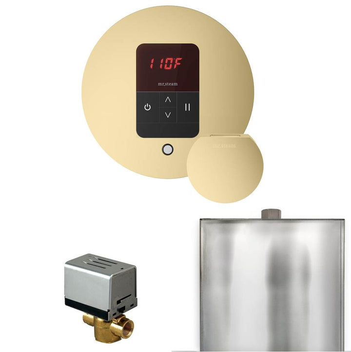 Mr. Steam Basic Butler Steam Shower Control Package with Round iTempo Control and Steamhead