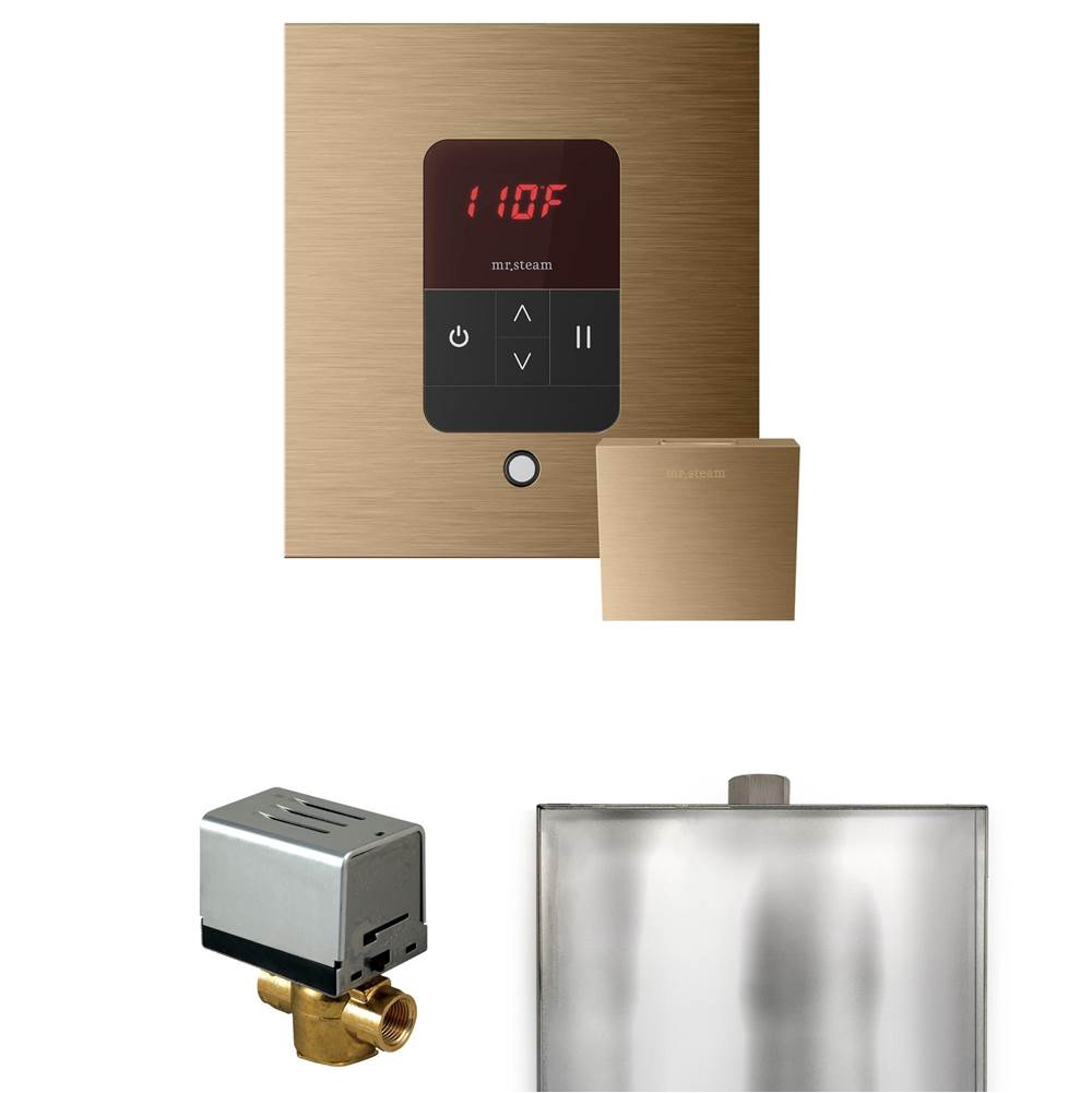 Mr. Steam Basic Butler Steam Shower Control Package with Square iTempo Control and Steamhead