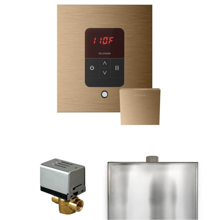 Mr. Steam Basic Butler Steam Shower Control Package with Square iTempo Control and Steamhead