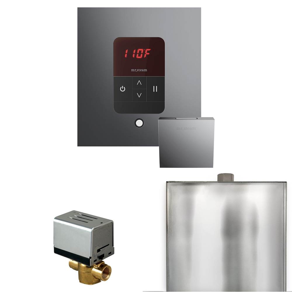 Mr. Steam Basic Butler Steam Shower Control Package with Square iTempo Control and Steamhead