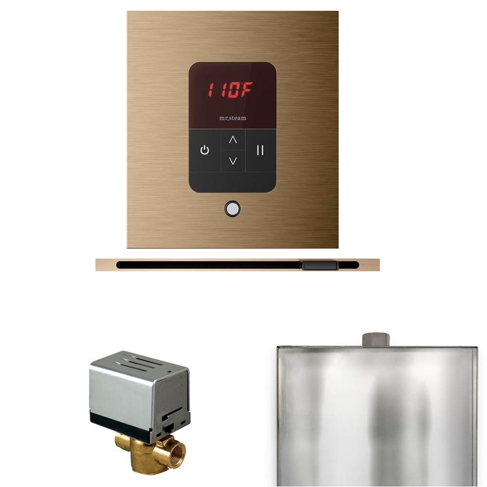 Mr. Steam Basic Butler Steam Shower Control Package with Square iTempo Control and Linear Steamhead