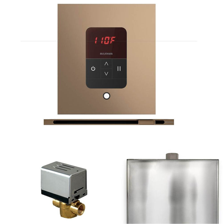 Mr. Steam Basic Butler Steam Shower Control Package with Square iTempo Control and Linear Steamhead