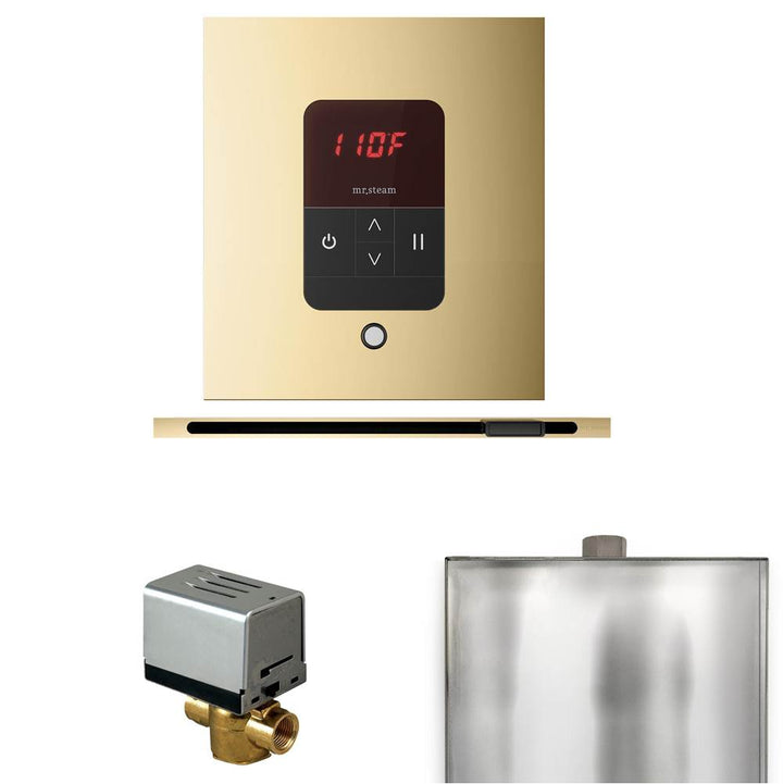 Mr. Steam Basic Butler Steam Shower Control Package with Square iTempo Control and Linear Steamhead