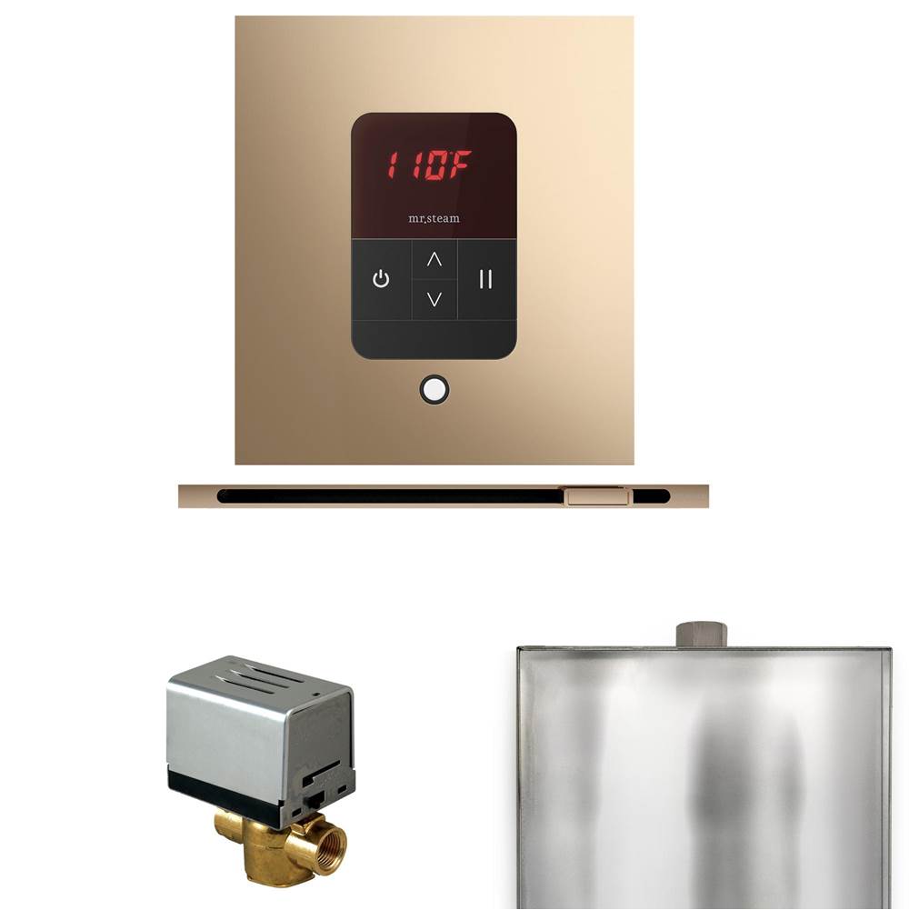 Mr. Steam Basic Butler Steam Shower Control Package with Square iTempo Control and Linear Steamhead