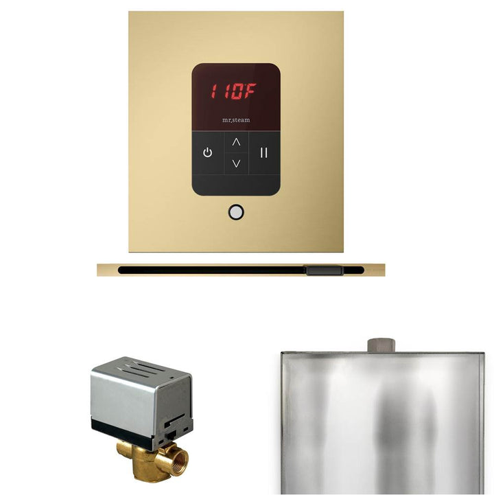 Mr. Steam Basic Butler Steam Shower Control Package with Square iTempo Control and Linear Steamhead