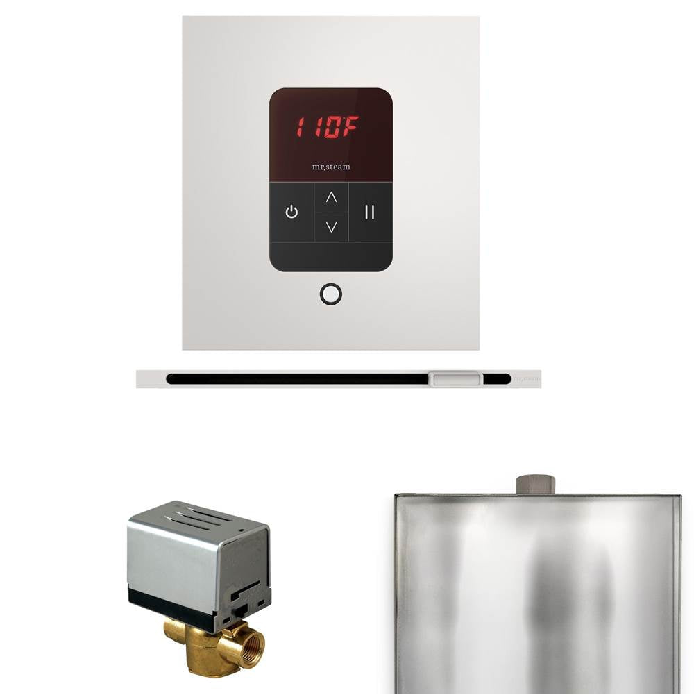 Mr. Steam Basic Butler Steam Shower Control Package with Square iTempo Control and Linear Steamhead