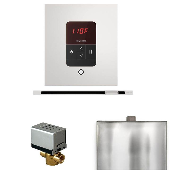 Mr. Steam Basic Butler Steam Shower Control Package with Square iTempo Control and Linear Steamhead