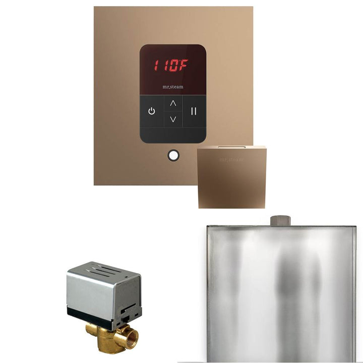 Mr. Steam Basic Butler Steam Shower Control Package with Square iTempo Control and Steamhead