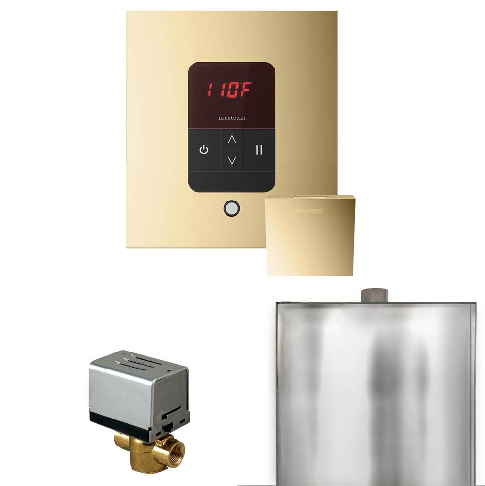 Mr. Steam Basic Butler Steam Shower Control Package with Square iTempo Control and Steamhead