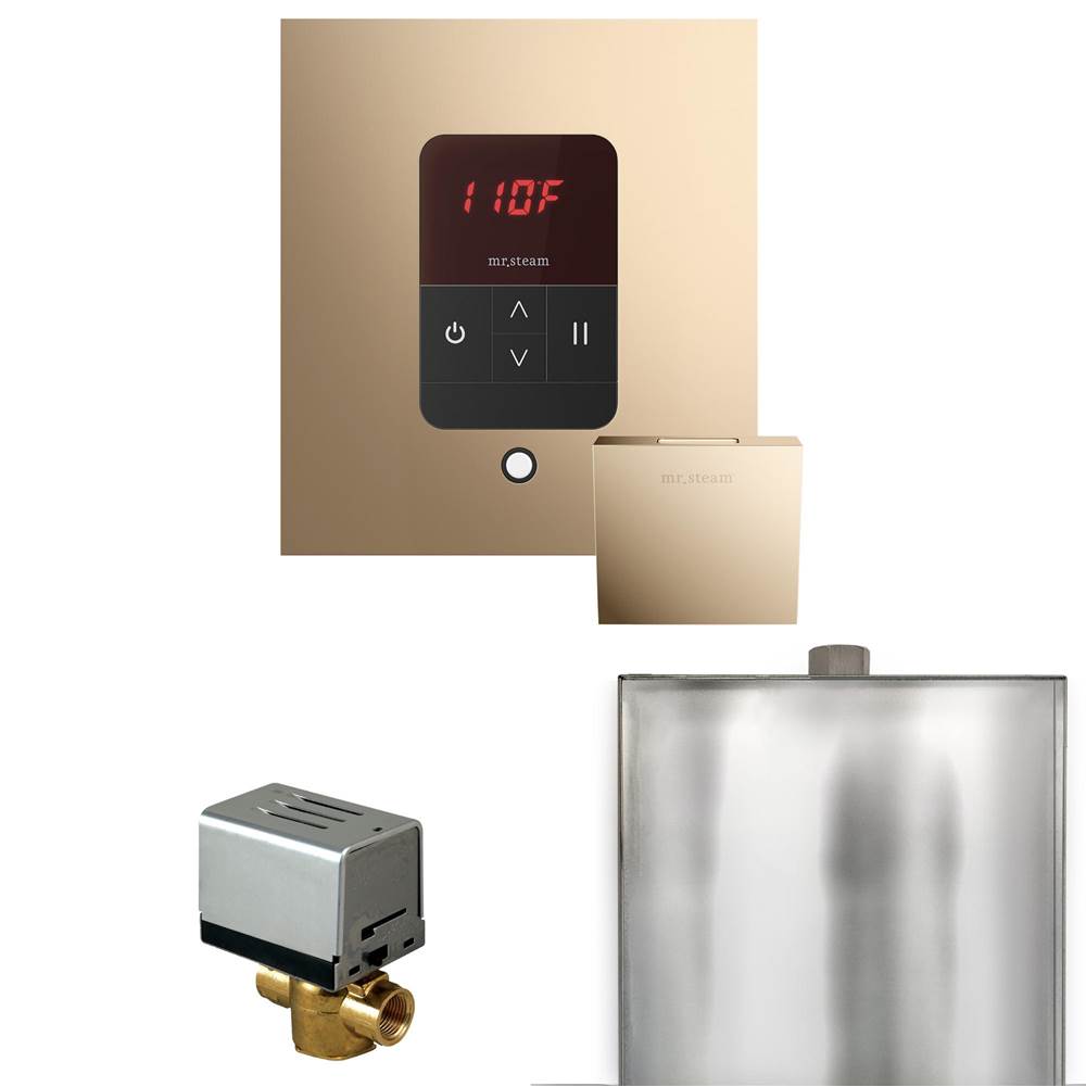 Mr. Steam Basic Butler Steam Shower Control Package with Square iTempo Control and Steamhead