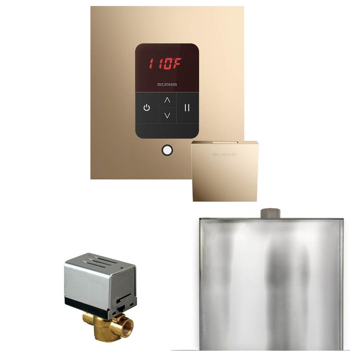 Mr. Steam Basic Butler Steam Shower Control Package with Square iTempo Control and Steamhead