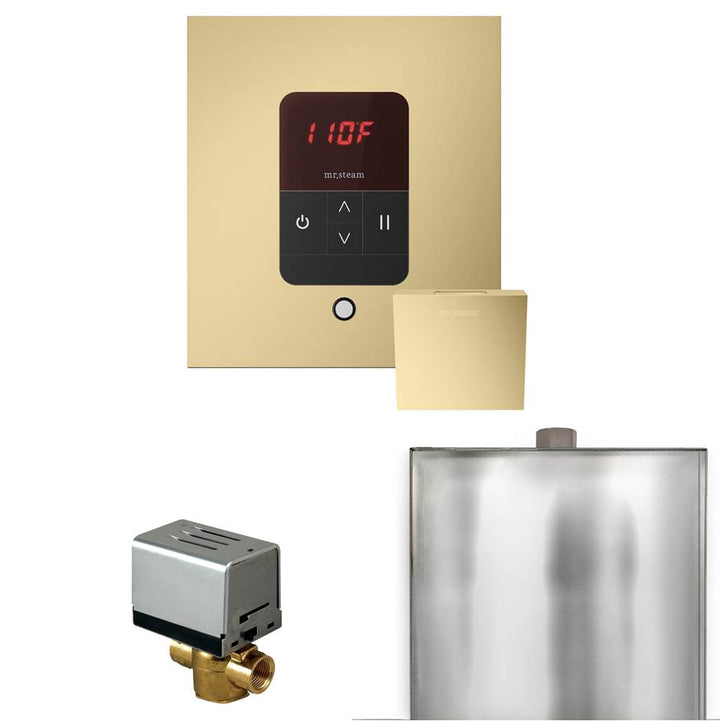 Mr. Steam Basic Butler Steam Shower Control Package with Square iTempo Control and Steamhead
