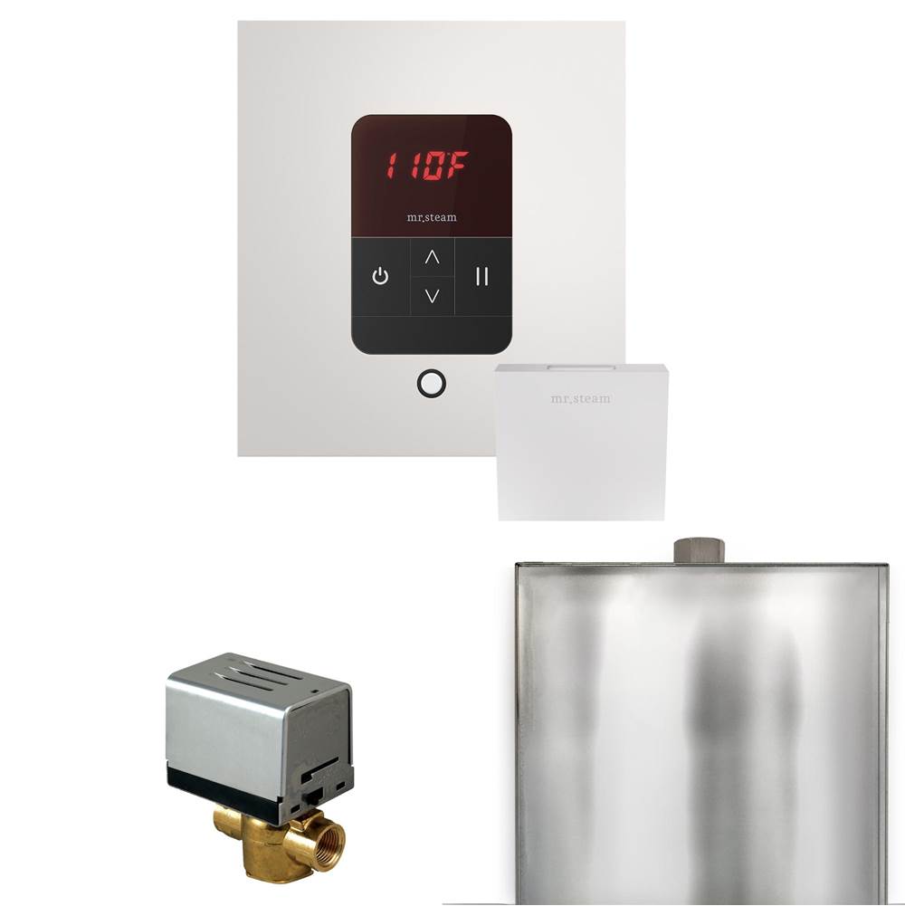 Mr. Steam Basic Butler Steam Shower Control Package with Square iTempo Control and Steamhead