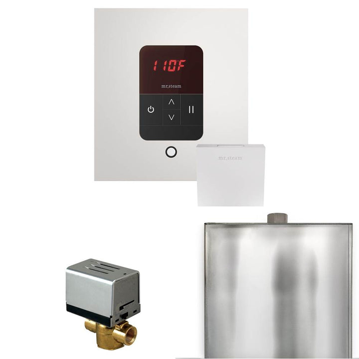 Mr. Steam Basic Butler Steam Shower Control Package with Square iTempo Control and Steamhead