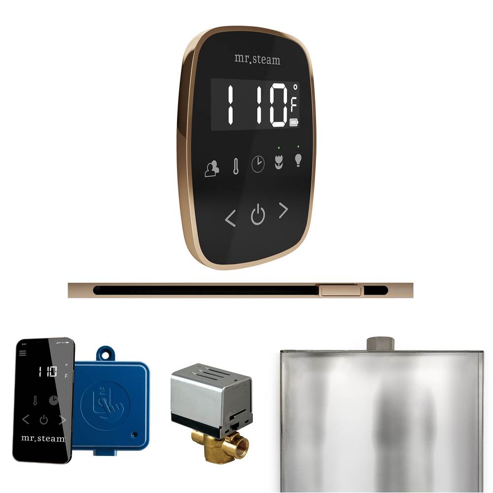 Mr. Steam ButlerFlex Steam Shower Control Package with TempoFlex Control and Linear Steamhead