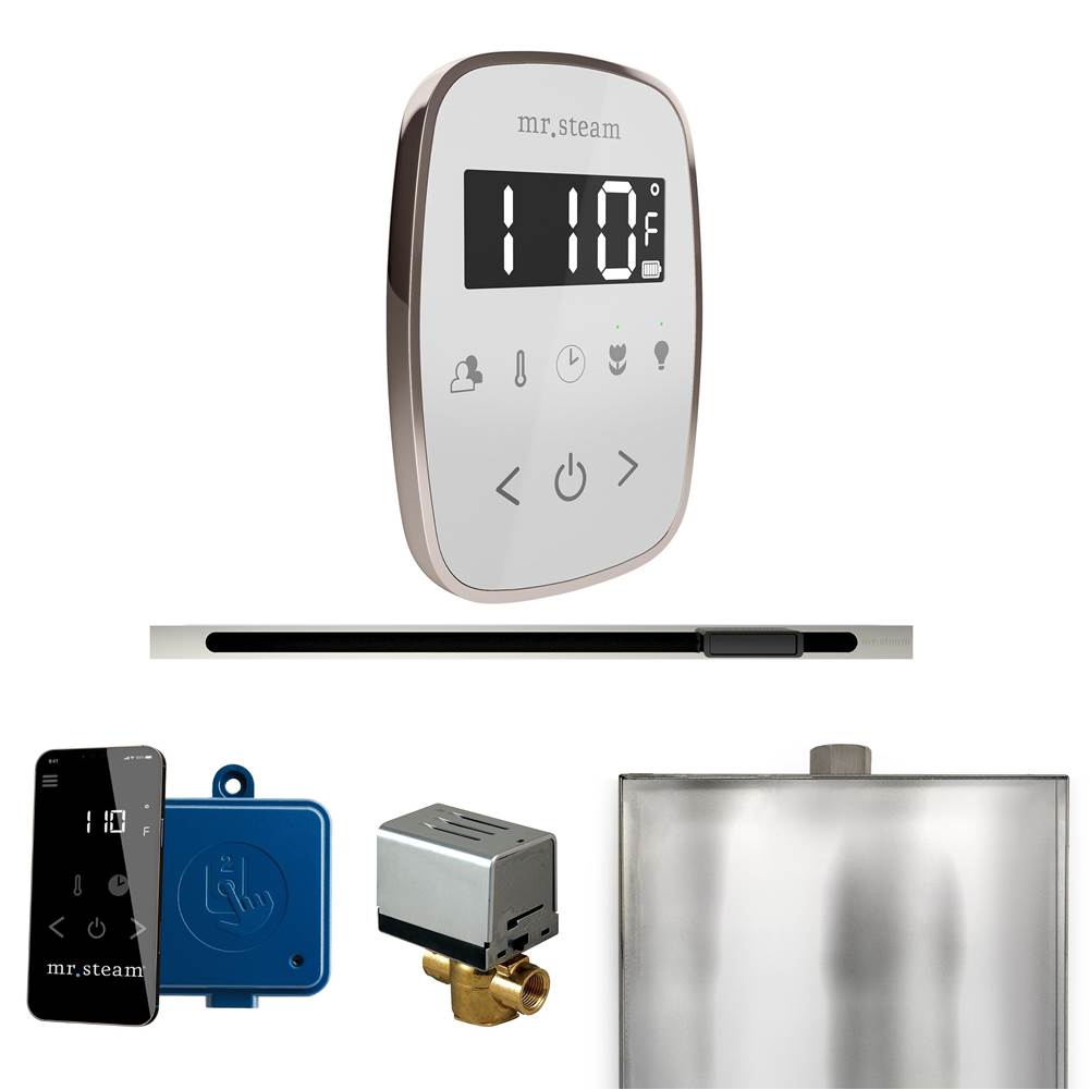 Mr. Steam ButlerFlex Steam Shower Control Package with TempoFlex Control and Linear Steamhead