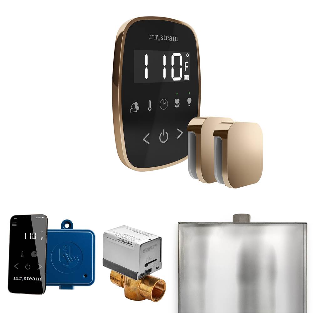 Mr. Steam ButlerFlex Max Steam Shower Control Package with TempoFlex Control and Steamhead