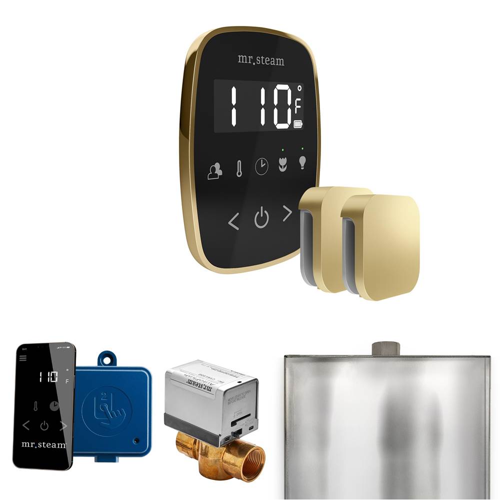 Mr. Steam ButlerFlex Max Steam Shower Control Package with TempoFlex Control and Steamhead