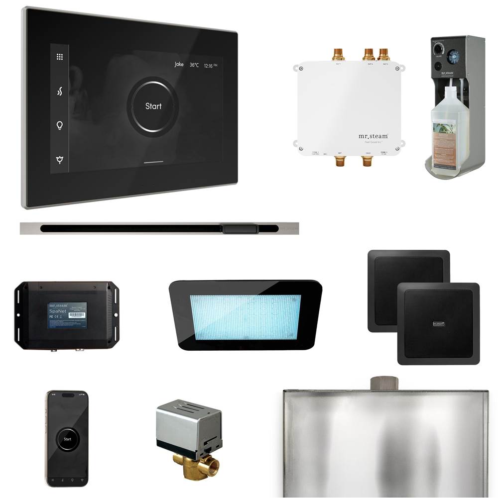 Mr. Steam Bliss Steam Shower Control Package with iSteamX Control and Linear Steamhead
