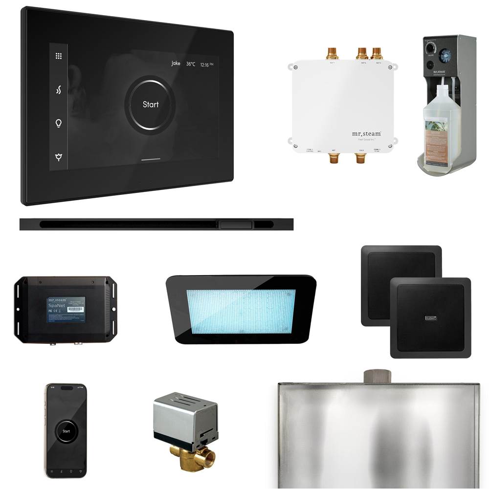 Mr. Steam Bliss Steam Shower Control Package with iSteamX Control and Linear Steamhead