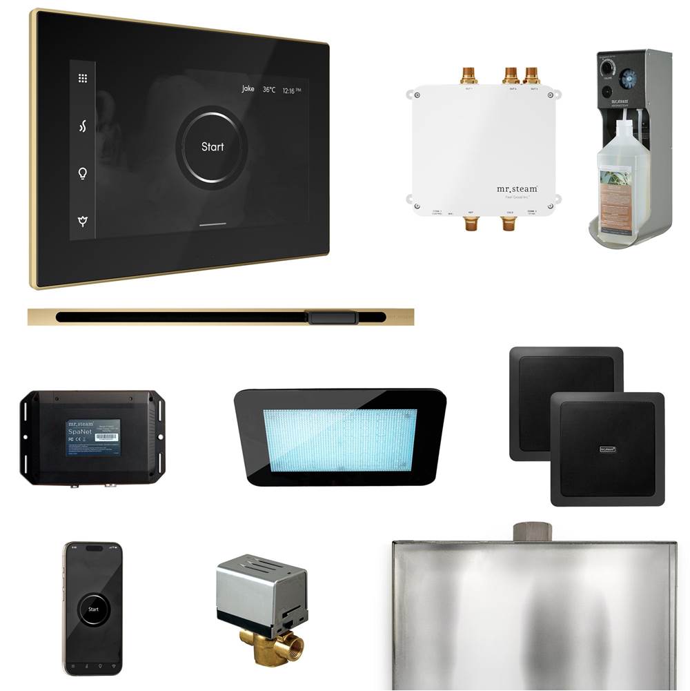 Mr. Steam Bliss Steam Shower Control Package with iSteamX Control and Linear Steamhead